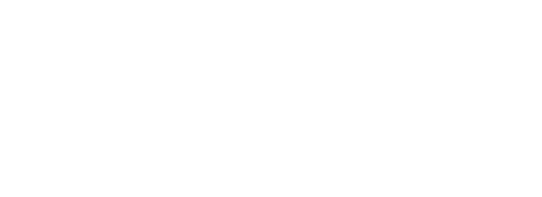 The Anton Group